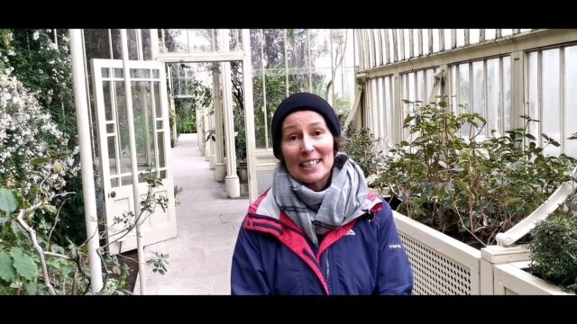 Ruth Powell in the National Botanic Garden - video still
