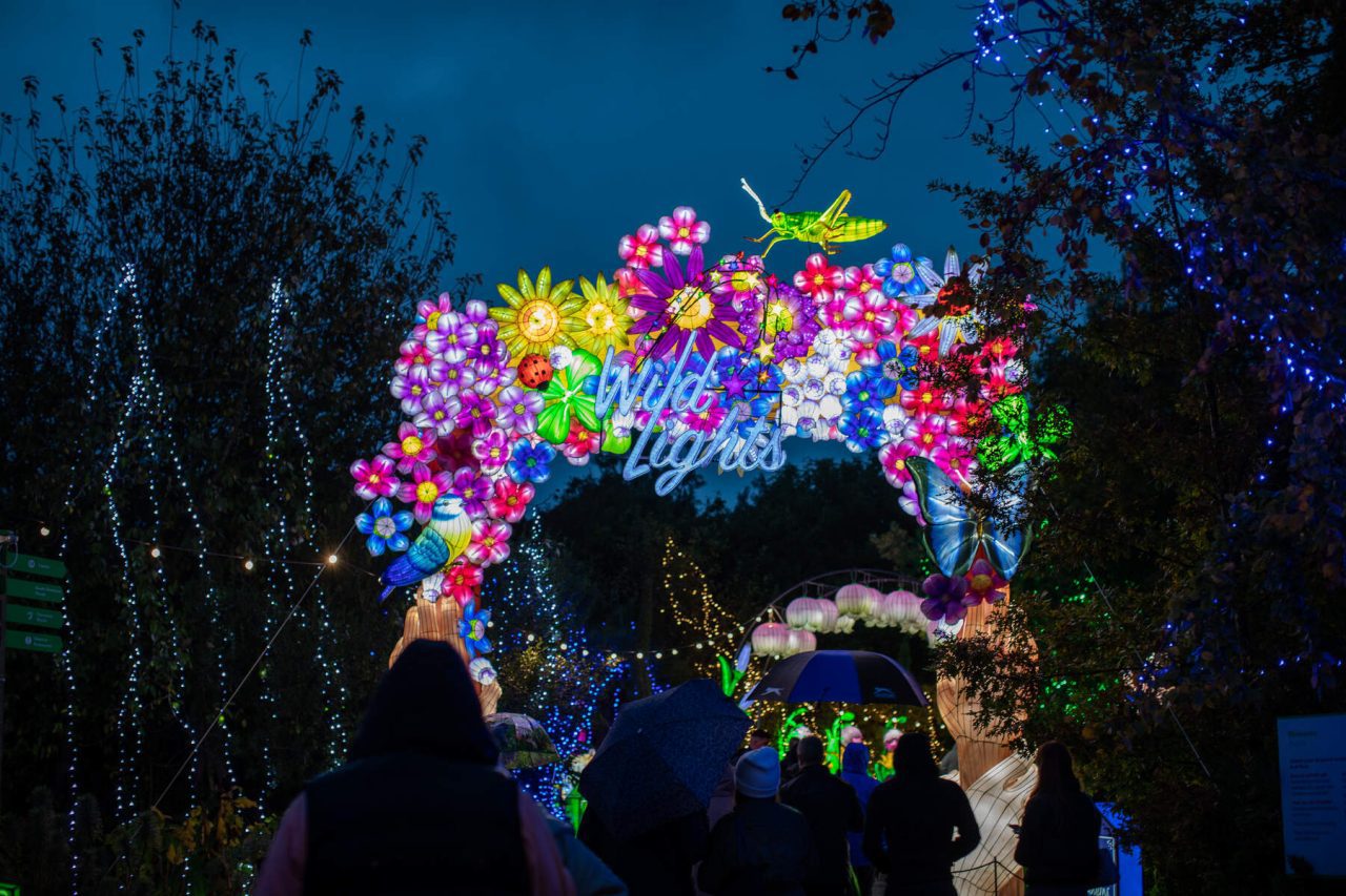 2022 Wild Lights, Dublin Zoo, Dublin 8