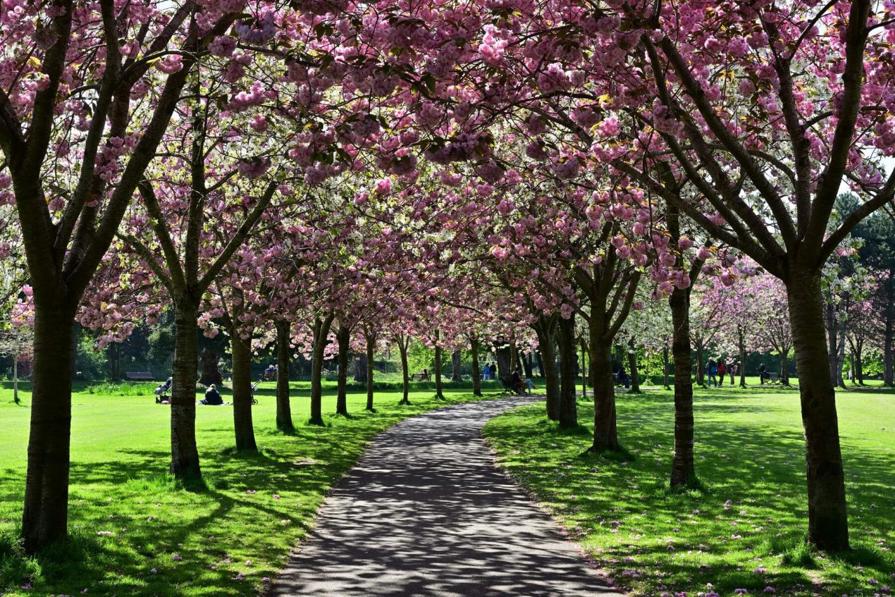 Herbert Park, Ballsbridge, Dublin 4