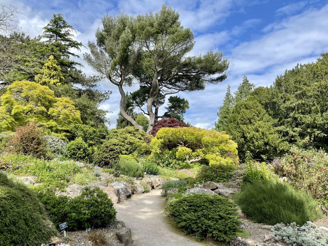 National Botanic Gardens, Rock Garden, Glasnevin, Dublin 11