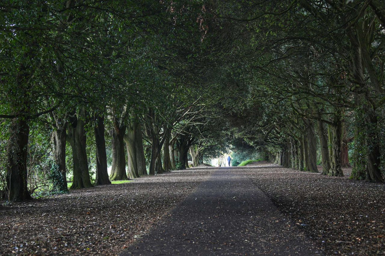 St Anne's Park, Raheny, Dublin 5