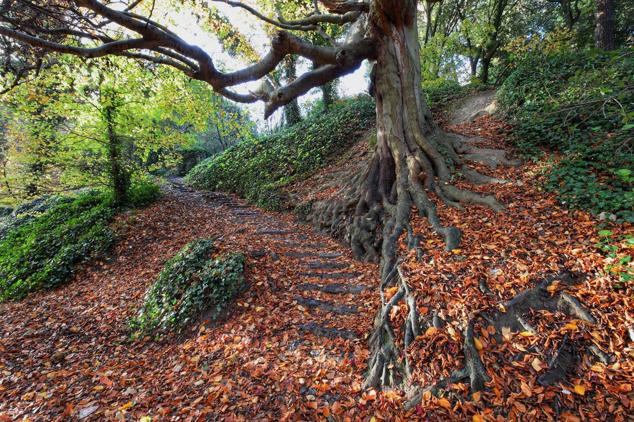 St Anne's Park, Raheny, Dublin 5