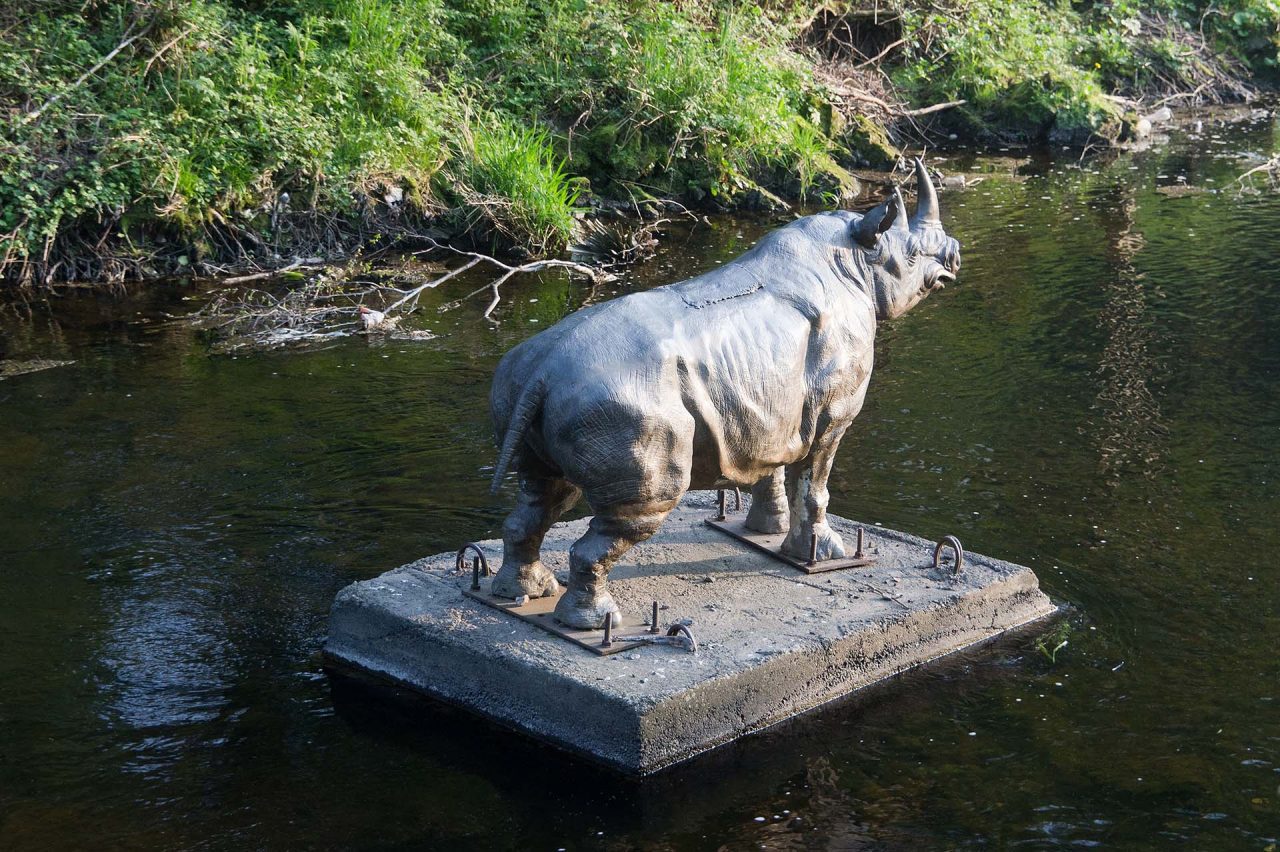 The Rhino on the River Dodder, Milltown, Dublin 6