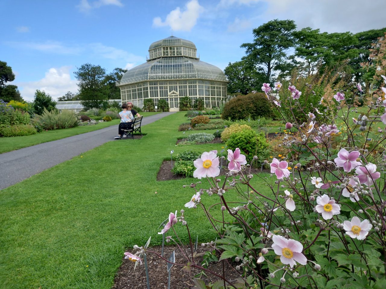 National Botanic Gardens greenhouse, Dublin 9