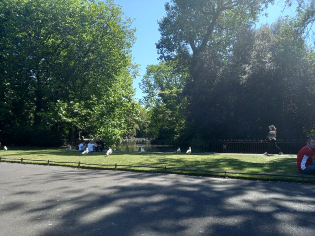 St. Stephen's Green, Dublin 2